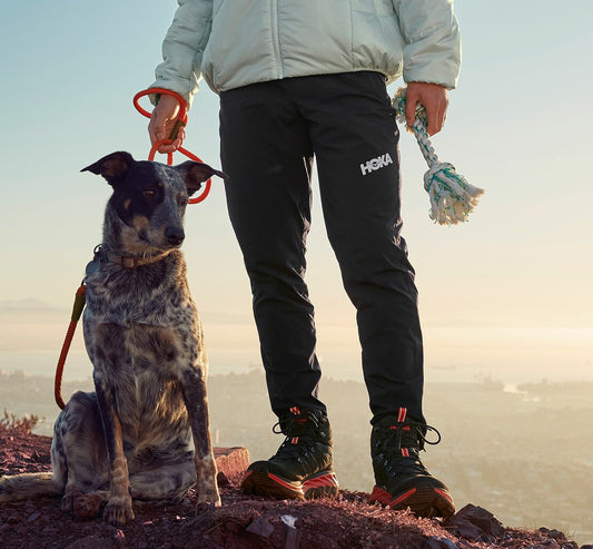 Men's Jogger | HOKA Online